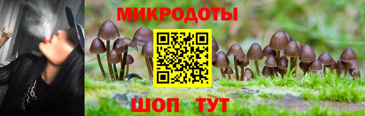 Галлюциногенные грибы MAGIC MUSHROOMS  Вход с VPN  Кудымкар  Галлюциногенные грибы мухоморы 